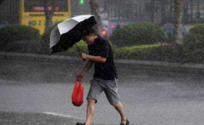 律师称雨姐带货油污净或赔偿过亿