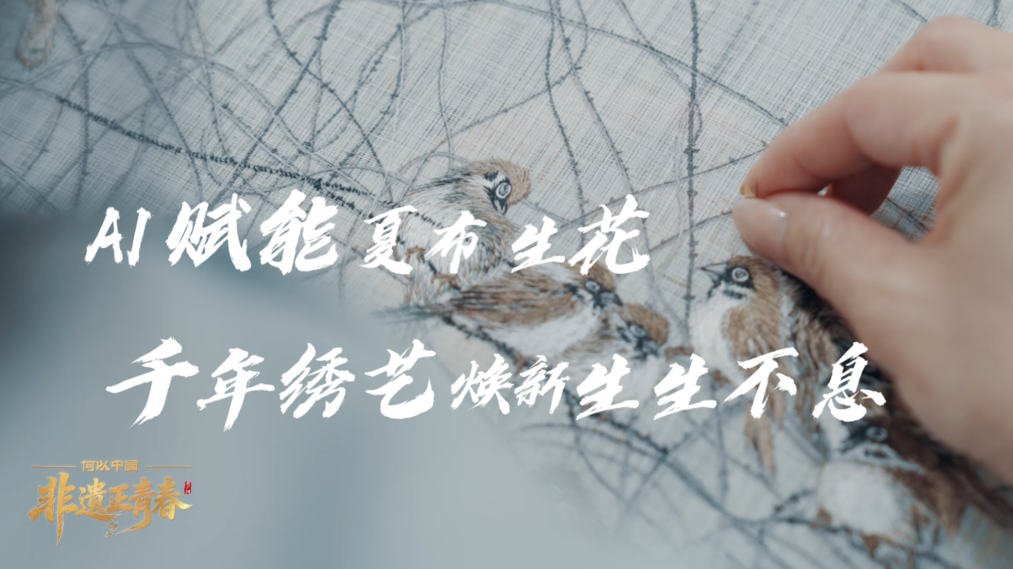 徐明浩镜头