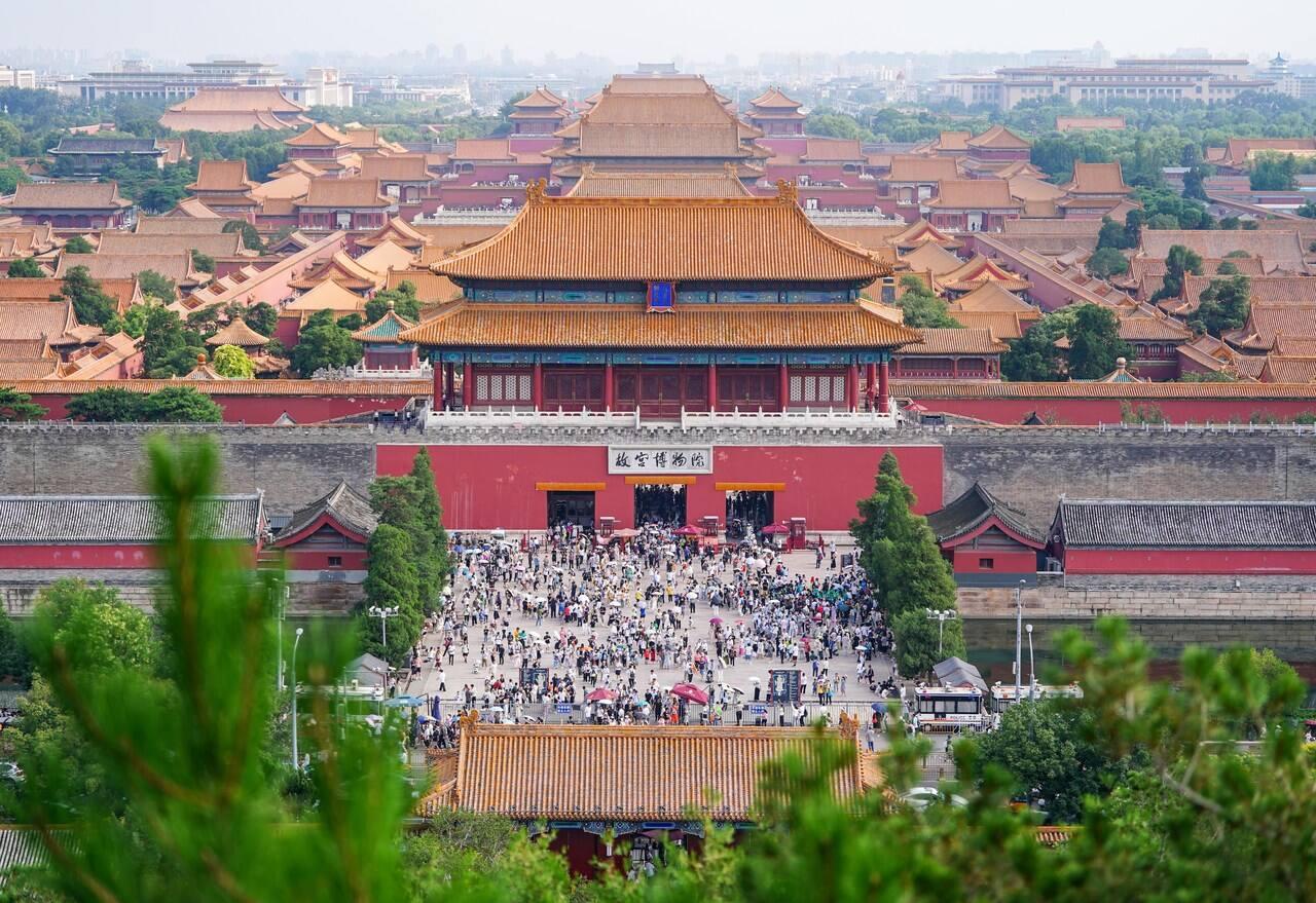 习近平深情寄语小树苗
