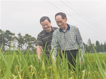 林诗栋比张本智和
