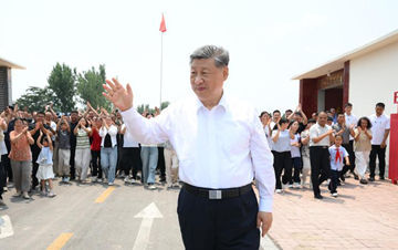 杨幂治好了我的犯错羞耻症