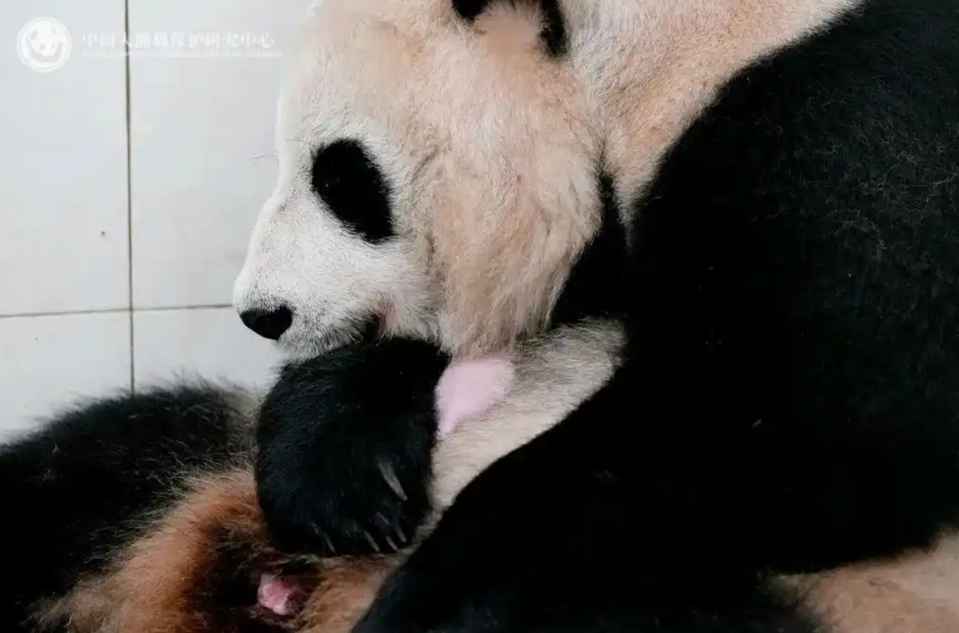 一财资讯