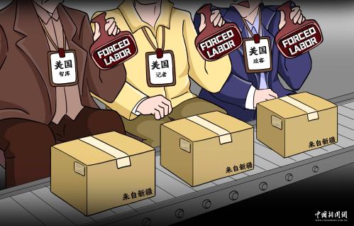郑钦文决赛前吃了退烧药